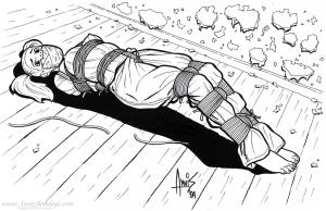 annisbondage.com - Bondage Art 0325 thumbnail
